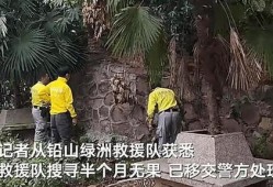 武夷山街头爆料案件最新,警方全力侦破中