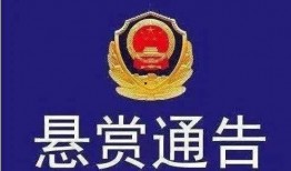 广东梅州爆料案件最新,案情曲折，真相渐明