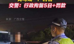 白宇代驾最新爆料新闻报道,独家爆料揭示幕后真相