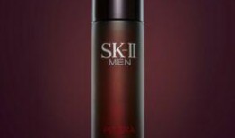 精华皮肤爆料最新,神秘特效与独特设计抢先看