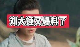 刘大锤爆料榜单最新,榜单风云再起，揭秘热门话题背后的秘密