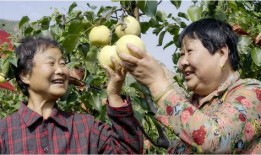 礼泉吃瓜最新事件爆料是真的吗,真相揭秘还是网络谣言？