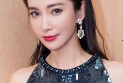 鲍蕾整容爆料视频大全最新,视频大全深度解析