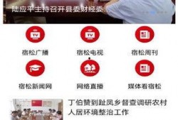 宿松新闻爆料最新,突发！最新爆料揭示惊人真相，敬请关注！